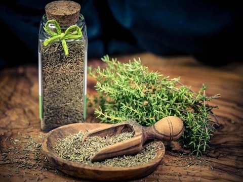 تصویر 2 از قیمت گیاه دارویی آویشن + خرید باور نکردنی